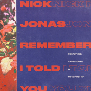 Nick Jonas - Remember I Told You - Zortam Music