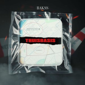 Thuisbasis