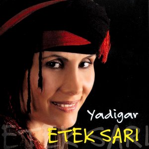 Etek Sari
