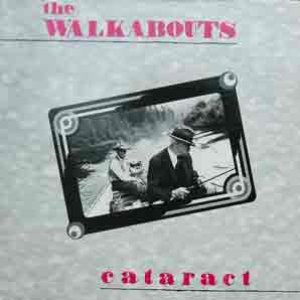 Cataract
