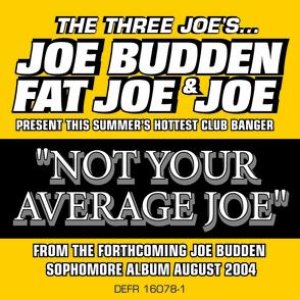 'Not Your Average Joe' için resim
