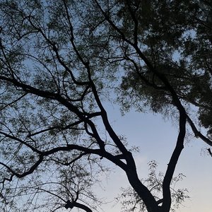 Avatar for lone distance driver