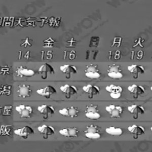 京都ウェザーカンパニー 的头像