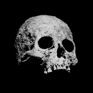 Colecionador de Ossos için avatar