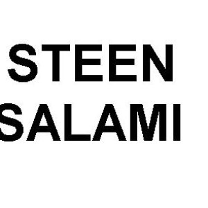 Steen Salami 的头像