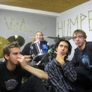 Waldhumpen 的头像
