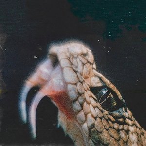 Serpentine - Single