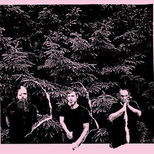 Raspberry Bulbs のアバター