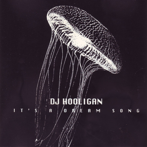 DJ Hooligan - Harder 