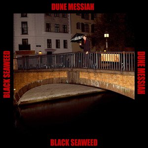 Black Seaweed