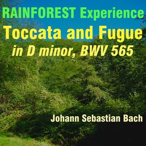 Bach: Toccata and Fugue in D Minor, BWV 565 (Rainforest Experience Version)