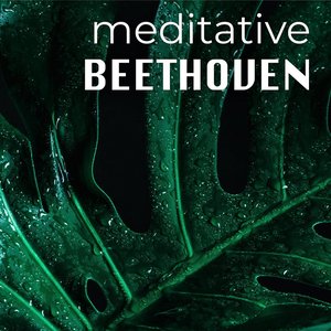 Meditative Beethoven