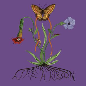 Like A Ribbon (Deluxe) [Explicit]