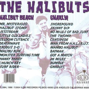 Halibut Beach / Gnarly!