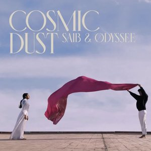 Cosmic Dust