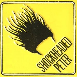 Shockheaded Peter: A Junk Opera