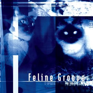 Feline Groove