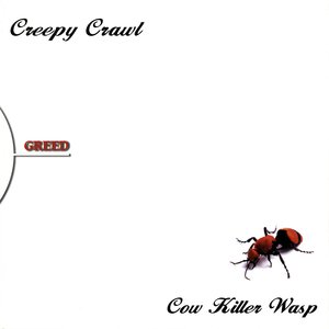 COW KILLER WASP