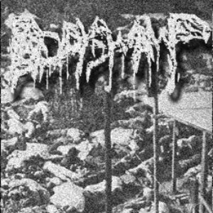 Body Swamp 的头像