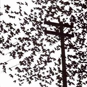 Migration