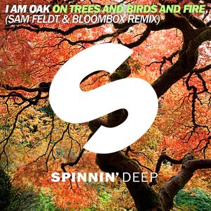 On Trees and Birds and Fire (Sam Feldt & Bloombox Remix) - Single