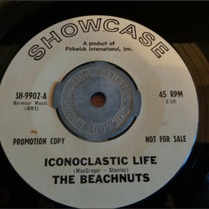 Iconoclastic Life