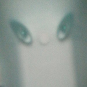 moquili 的头像