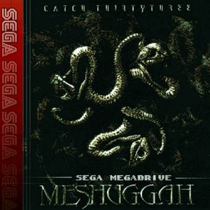 Meshuggah Zone