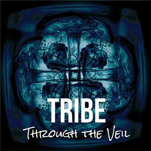 Image for 'Through The Veil'