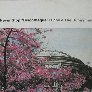 Never Stop (Discotheque)