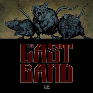 Rats