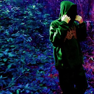 The Rainbow Forest 的头像