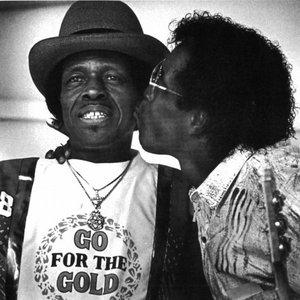 Image for 'Buddy Guy/Junior Wells'