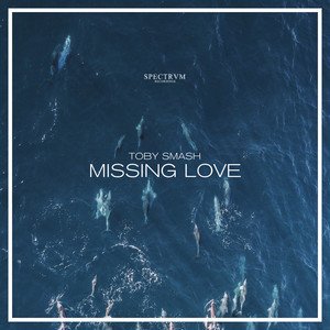 Missing Love