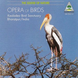 Opera Of Birds