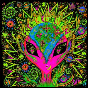 Free-K Revolution