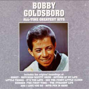 Bobby Goldsboro - Lttle Things Lyrics - Zortam Music