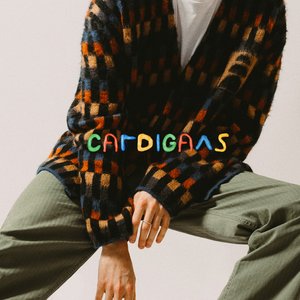 Cardigans - Single