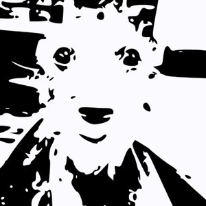 certi5 的头像