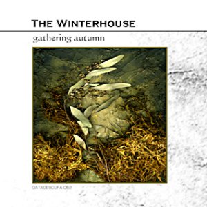 Gathering Autumn