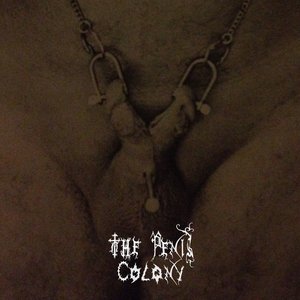 The Penis Colony 的头像