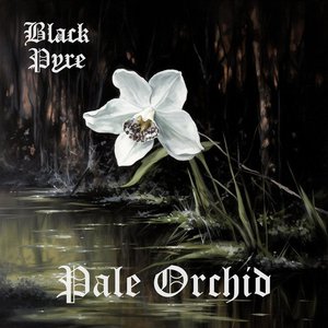 Pale Orchid - Single