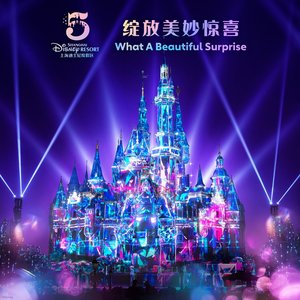 What A Beautiful Surprise (Shanghai Disney Resort 5th Anniversary Theme Song) - Single