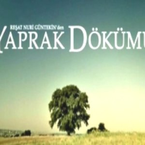 Image for 'Yaprak Dökümü'