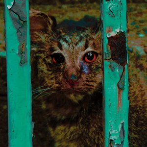 殺しの呪文