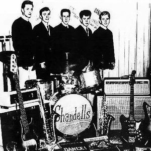 Awatar dla The Shandells