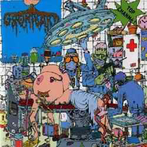 Gronibard cover