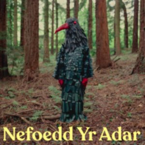 Nefoedd yr Adar