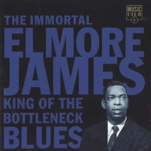 King of the Bottleneck Blues