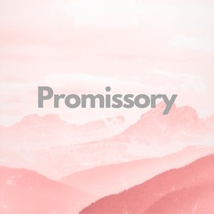 “PROMISSORY”的封面